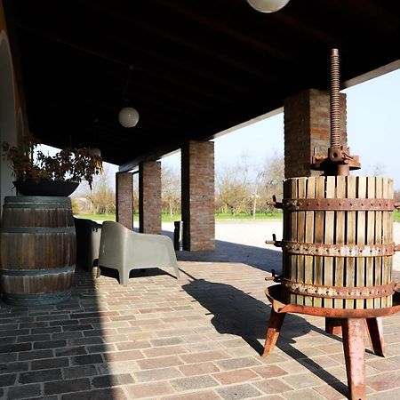 Agriturismo Borgo Borromeo Рубано Екстер'єр фото