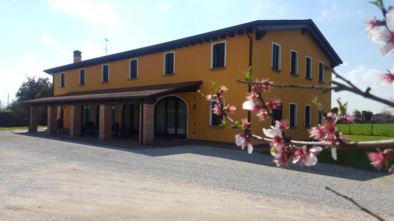 Agriturismo Borgo Borromeo Рубано Екстер'єр фото