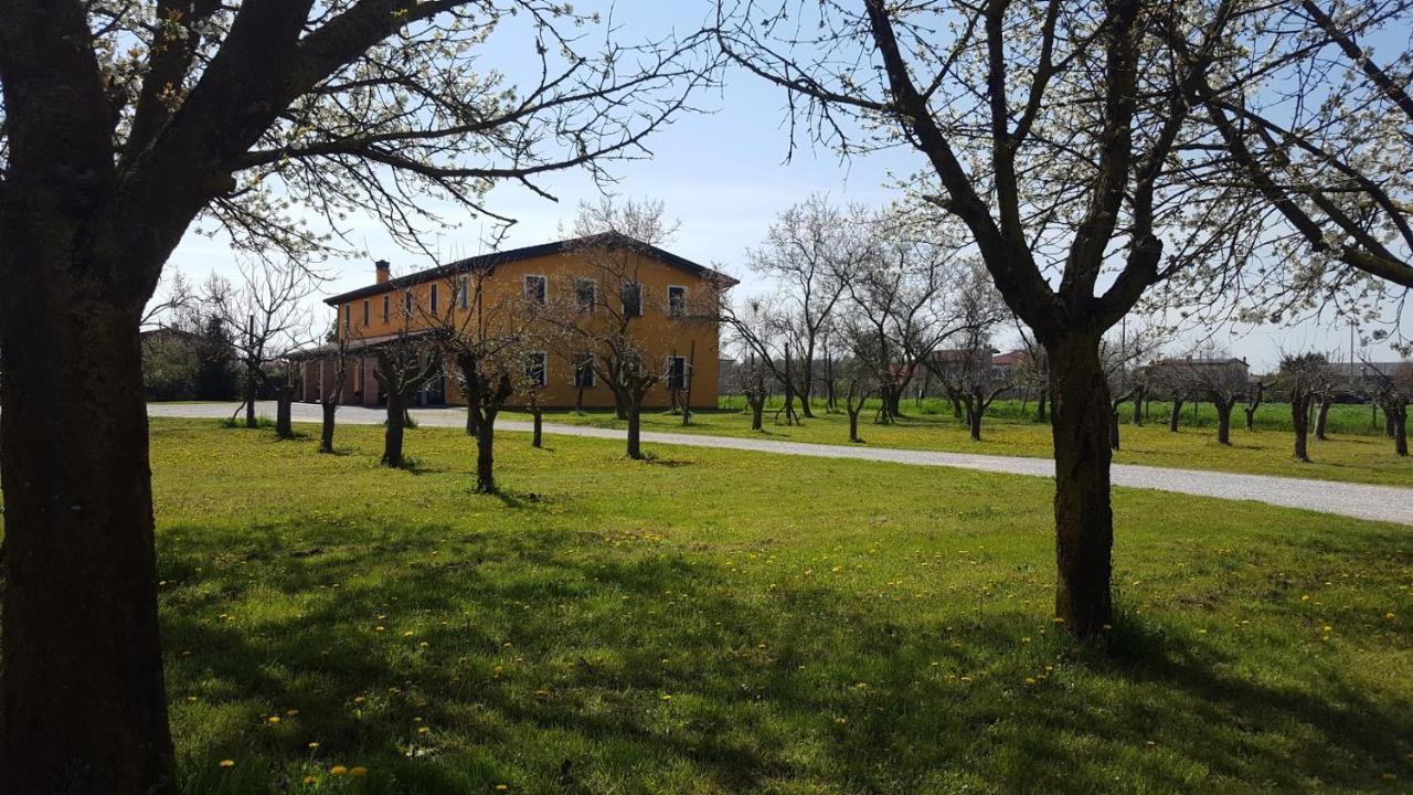 Вілла Agriturismo Borgo Borromeo Рубано Екстер'єр фото